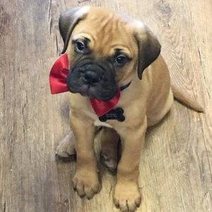 Meet your Posher
